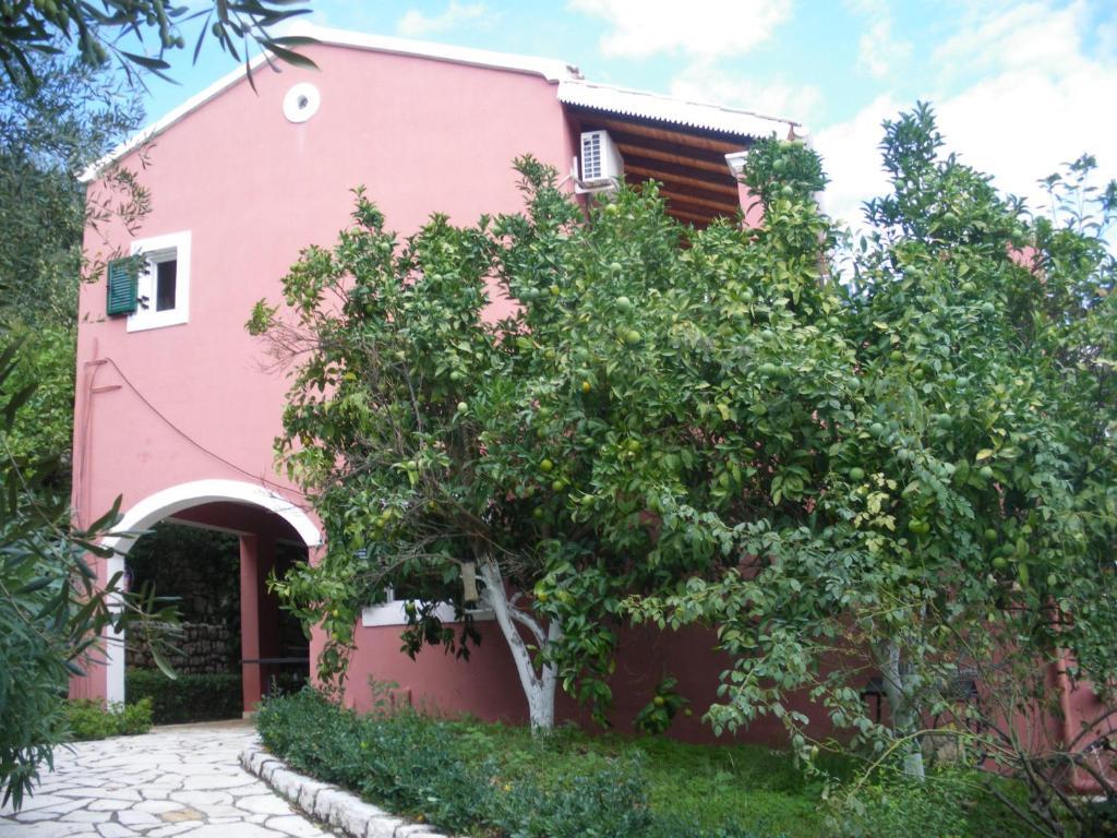 Villa Aliki Agios Stefanos  Esterno foto